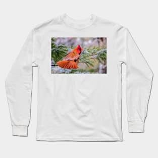 Christmas Cardinal Long Sleeve T-Shirt